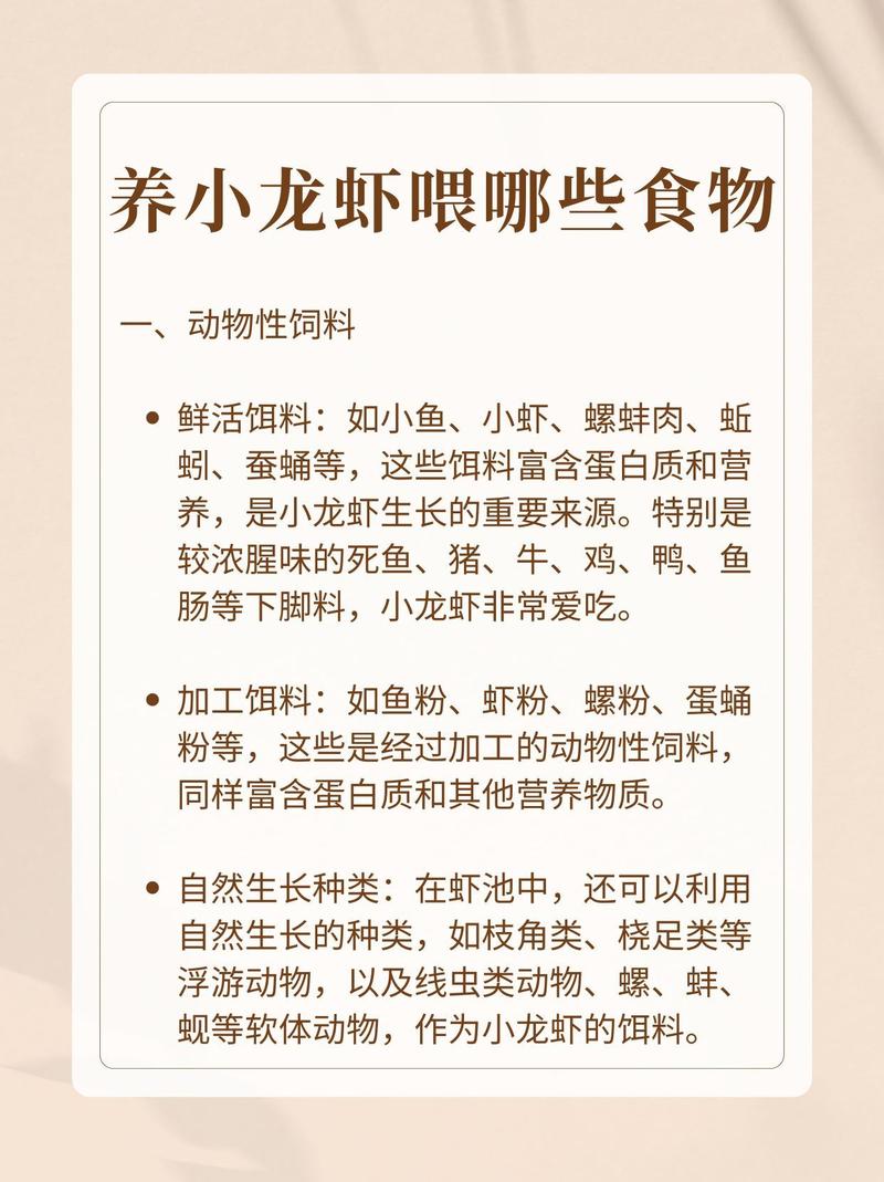 龙虾养殖应注意什么意思-第1张图片-宁夏农业信息网