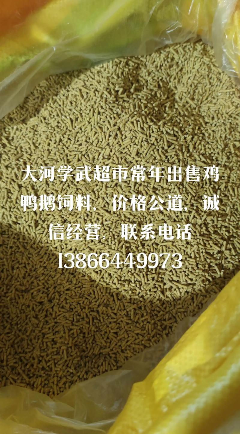 鸡鸭鹅苗能喂什么饲料-第3张图片-宁夏农业信息网 鸡鸭鹅苗能喂什么饲料-第3张图片-宁夏农业信息网