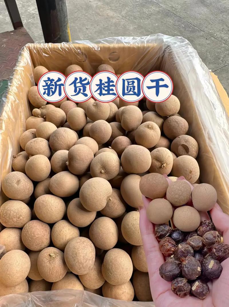 现在桂圆价格是多少-第3张图片-宁夏农业信息网