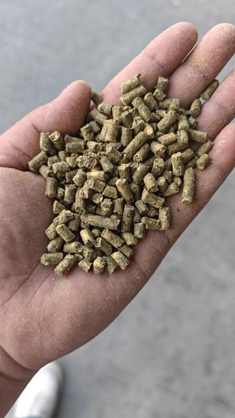 填鸭用什么饲料比较适合-第2张图片-宁夏农业信息网