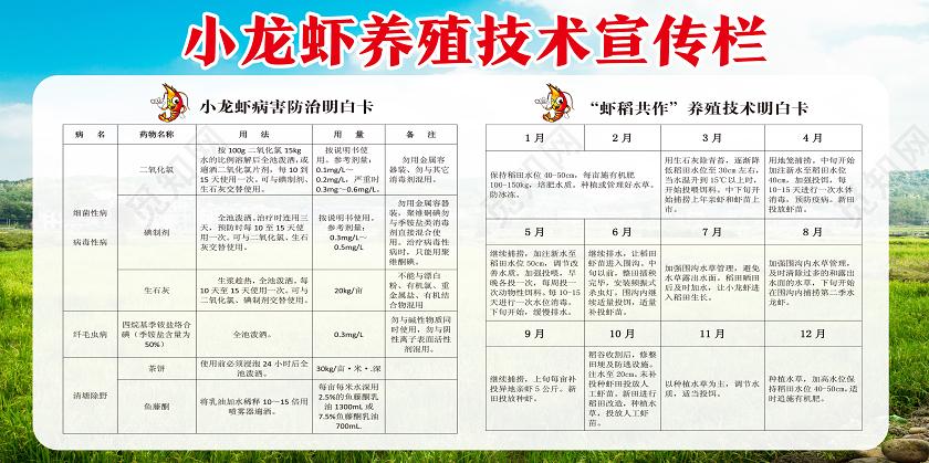 小龙虾养殖靠什么因素-第1张图片-宁夏农业信息网