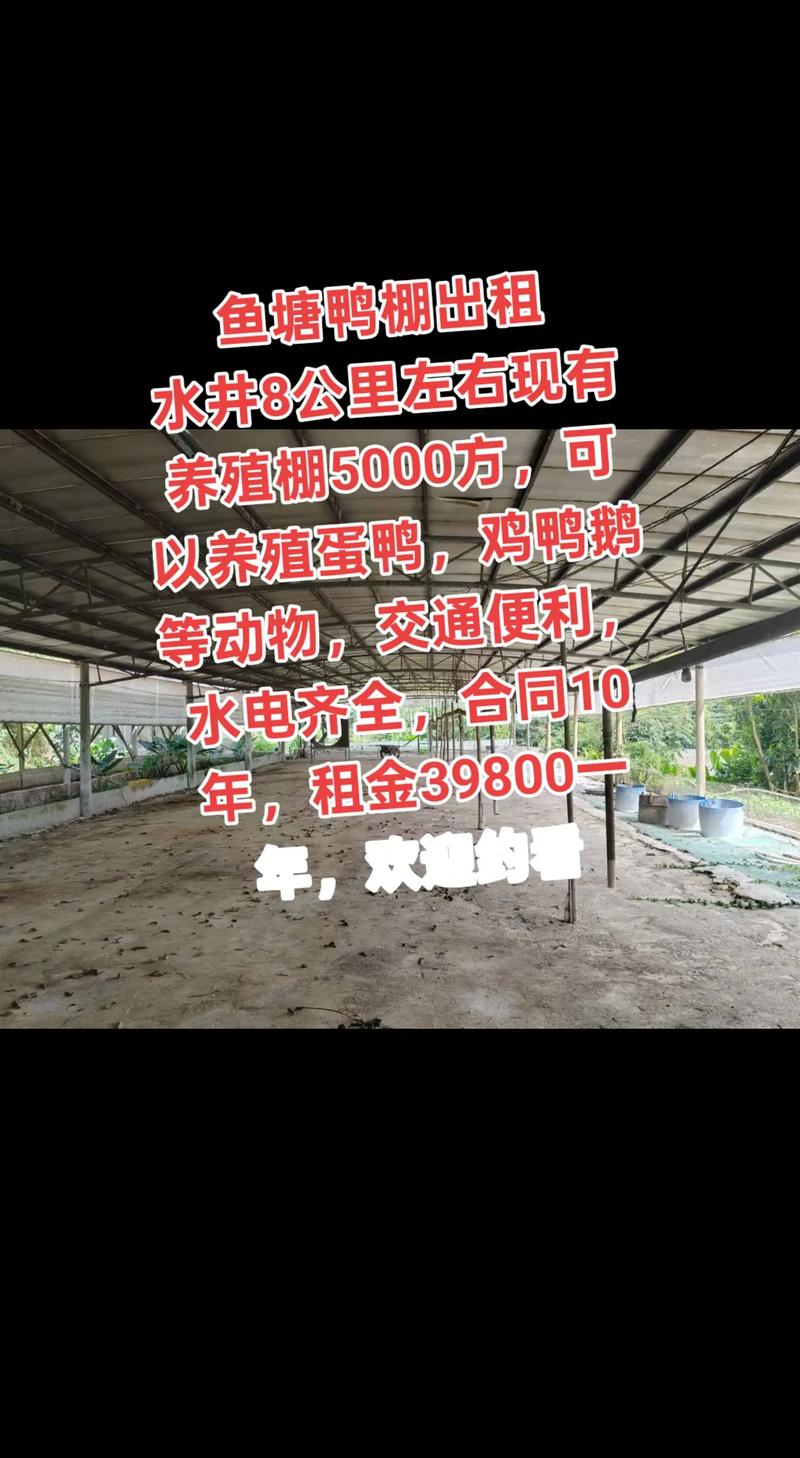 水灾过后养殖什么挣线-第3张图片-宁夏农业信息网