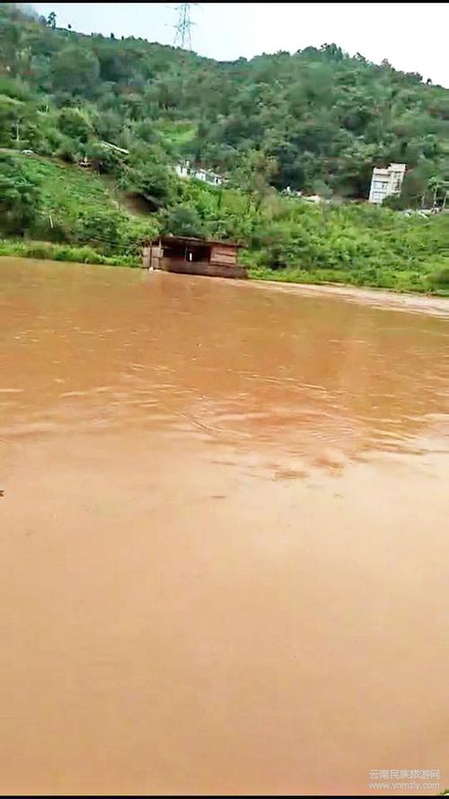 水灾过后养殖什么挣线-第1张图片-宁夏农业信息网