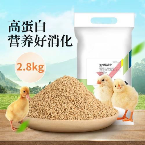 鹌鹑怎么育雏喂什么饲料好-第3张图片-宁夏农业信息网