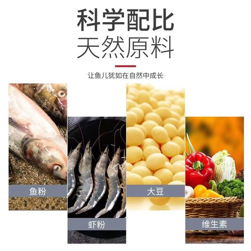 养鱼用什么味道的颗粒饲料-第3张图片-宁夏农业信息网
