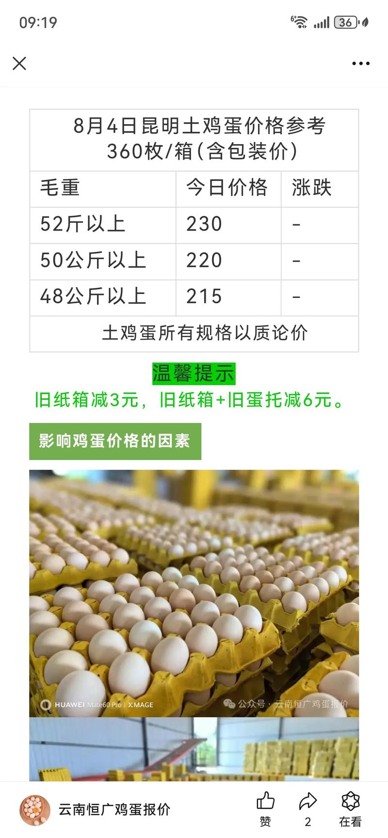 鸡蛋今日鸡蛋价格多少-第2张图片-宁夏农业信息网
