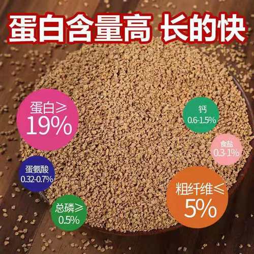 小鸡吃什么饲料长得快-第3张图片-宁夏农业信息网