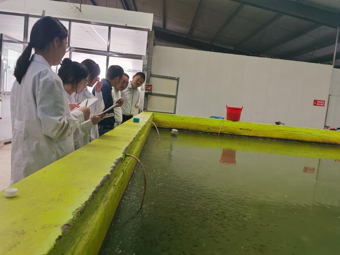 养殖虾填什么职业-第2张图片-宁夏农业信息网