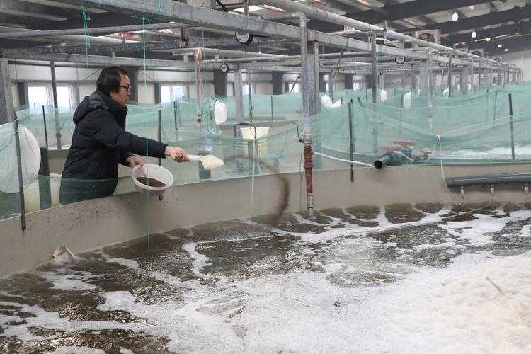 养殖虾填什么职业-第1张图片-宁夏农业信息网