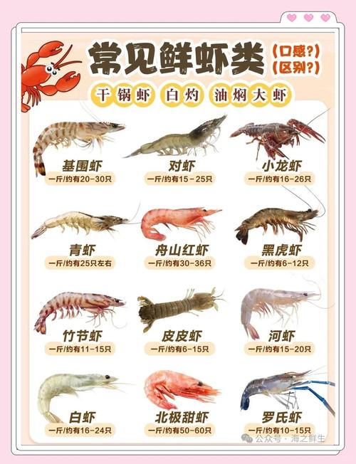 养殖虾填什么职业-第3张图片-宁夏农业信息网