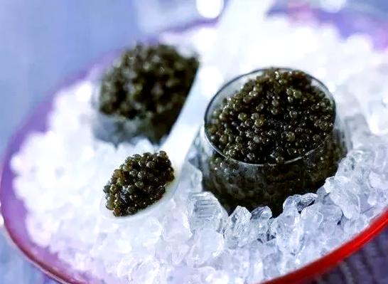 鲟蝗鱼价格多少-第1张图片-宁夏农业信息网 鲟蝗鱼价格多少-第1张图片-宁夏农业信息网