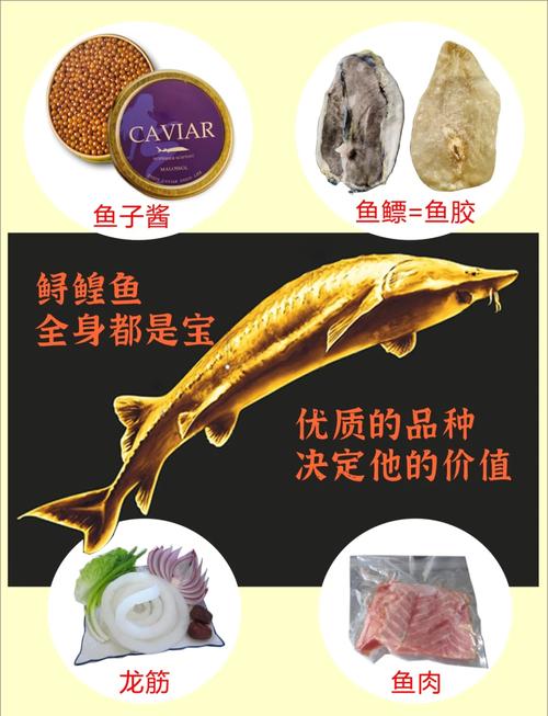 鲟蝗鱼价格多少-第2张图片-宁夏农业信息网 鲟蝗鱼价格多少-第2张图片-宁夏农业信息网