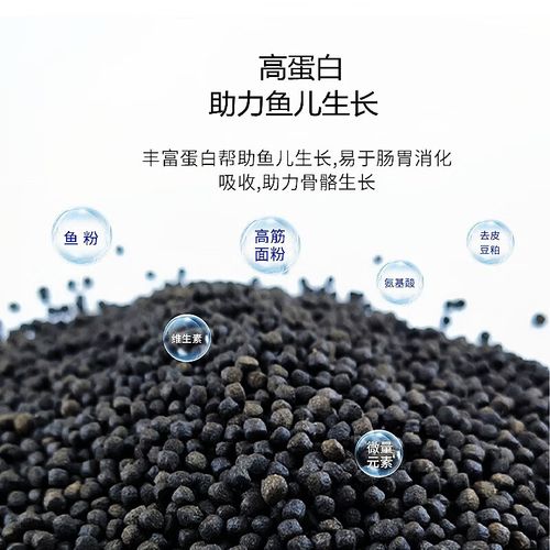 养殖黑鱼喂什么饲料好-第2张图片-宁夏农业信息网