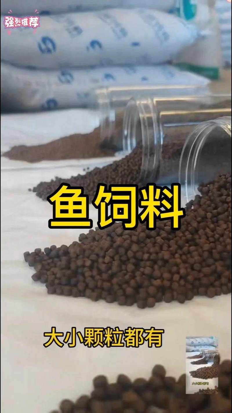 饲料鱼养什么鱼种-第3张图片-宁夏农业信息网 饲料鱼养什么鱼种-第3张图片-宁夏农业信息网