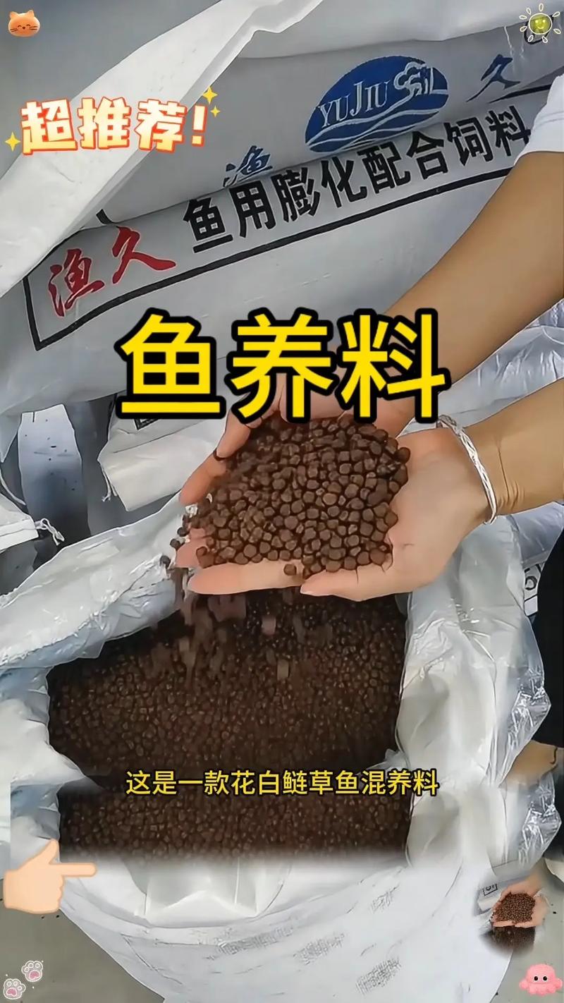 饲料鱼养什么鱼种-第2张图片-宁夏农业信息网 饲料鱼养什么鱼种-第2张图片-宁夏农业信息网