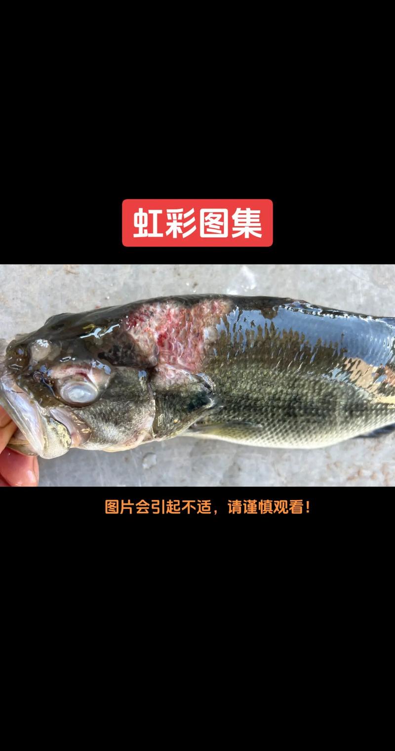 水产养殖用什么杀病毒-第2张图片-宁夏农业信息网