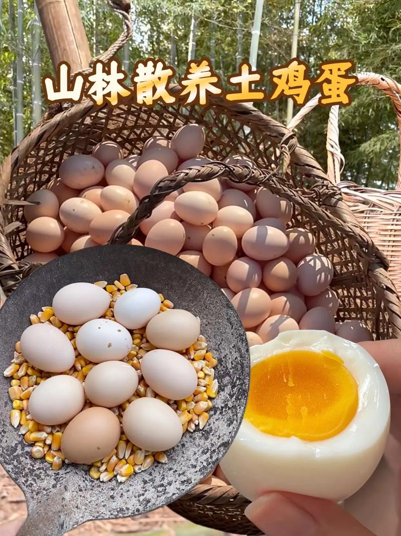 喂什么饲料鸡蛋好吃-第2张图片-宁夏农业信息网 喂什么饲料鸡蛋好吃-第2张图片-宁夏农业信息网