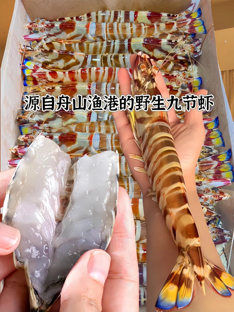 九节虾吃什么饲料吗-第2张图片-宁夏农业信息网 九节虾吃什么饲料吗-第2张图片-宁夏农业信息网