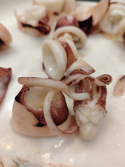 养殖鱿鱼吃什么为生-第3张图片-宁夏农业信息网