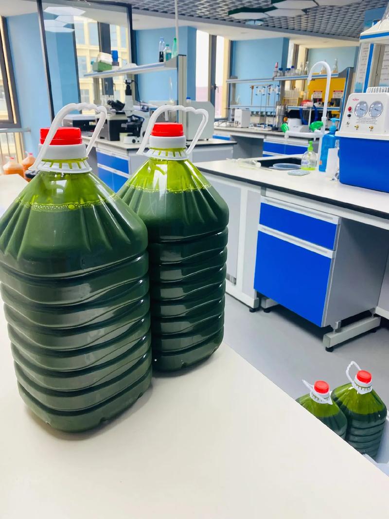 养殖用什么培小球藻-第1张图片-宁夏农业信息网