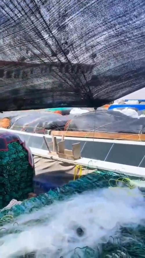 梭子蟹养殖笼什么样子-第3张图片-宁夏农业信息网