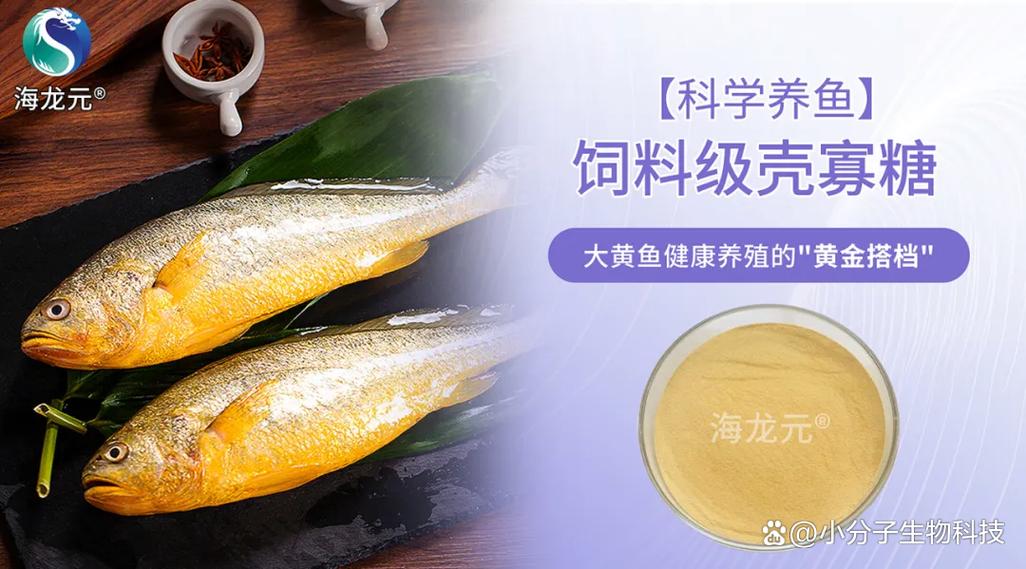 大黄鱼养殖用什么饲料-第2张图片-宁夏农业信息网 大黄鱼养殖用什么饲料-第2张图片-宁夏农业信息网