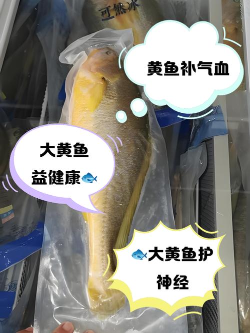 大黄鱼养殖用什么饲料-第3张图片-宁夏农业信息网 大黄鱼养殖用什么饲料-第3张图片-宁夏农业信息网