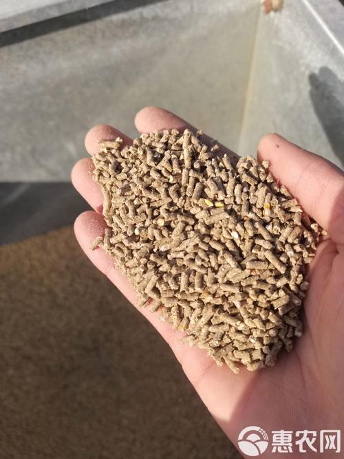 湘云鲫喂什么饲料-第2张图片-宁夏农业信息网