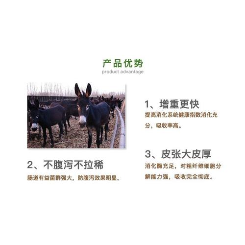 肉食驴喂什么饲料-第2张图片-宁夏农业信息网