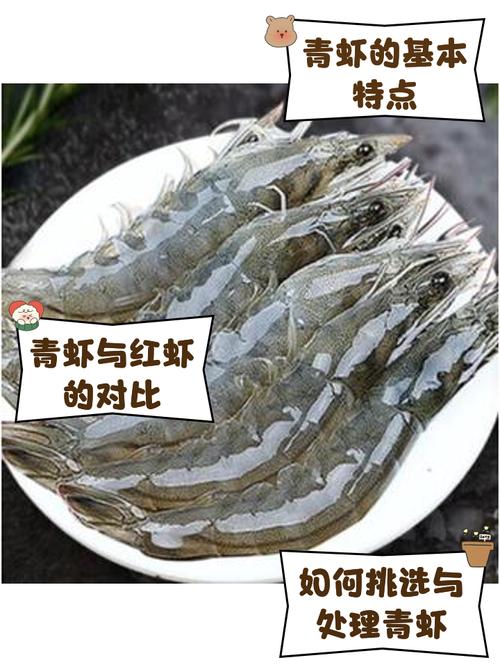 青虾养殖塘还原层是什么意思-第2张图片-宁夏农业信息网