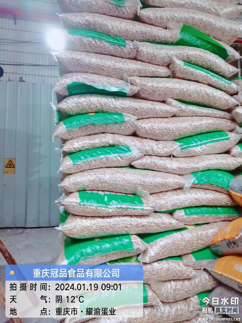 哪有生花生价格多少-第3张图片-宁夏农业信息网