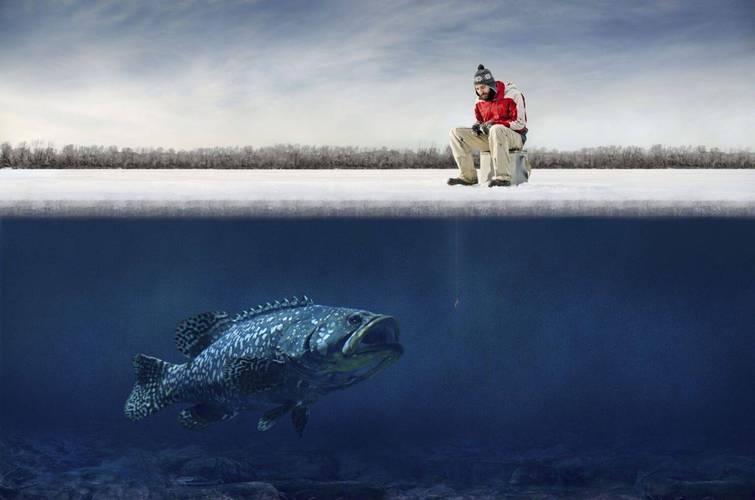 鱼塘养殖在冬季要注意什么-第2张图片-宁夏农业信息网