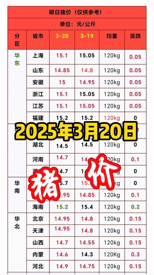 北京今天猪价格多少-第2张图片-宁夏农业信息网