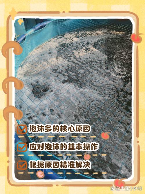 养殖池上的白色泡沫是什么原因-第2张图片-宁夏农业信息网