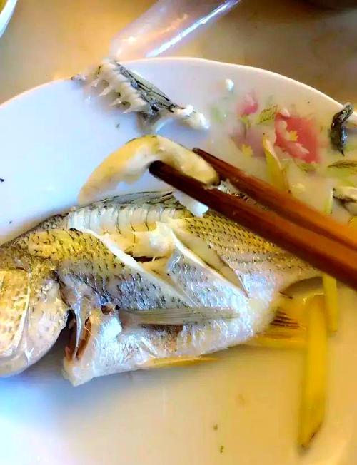 养殖黄鳍鲷喂什么饲料-第2张图片-宁夏农业信息网