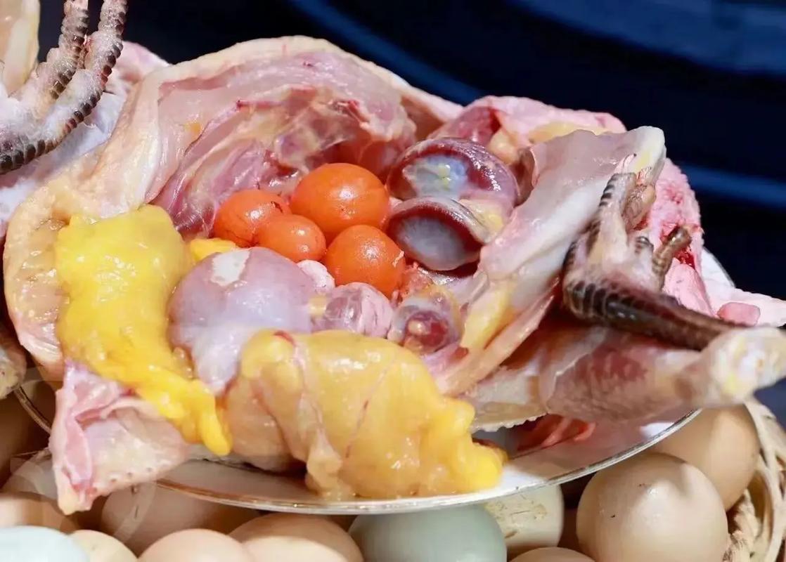 土鸡吃什么饲料下蛋多-第3张图片-宁夏农业信息网