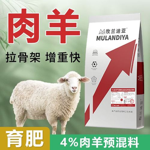 小羊羔饲料中的微量元素是什么-第1张图片-宁夏农业信息网