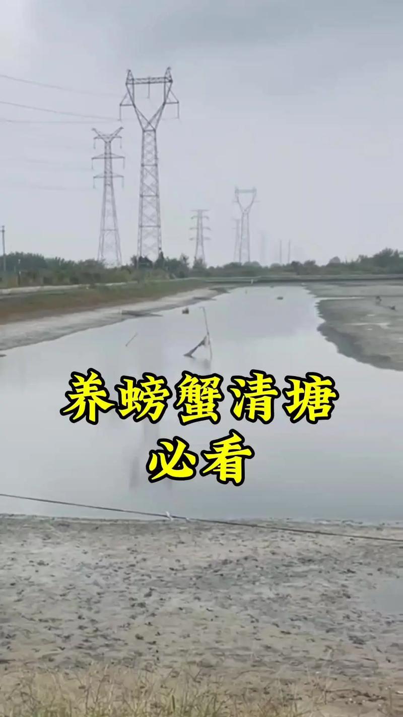 挖塘养殖大闸蟹消毒用什么好-第1张图片-宁夏农业信息网