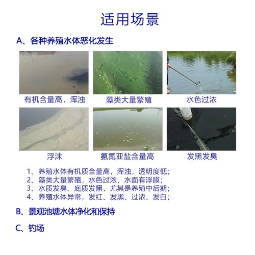 水产养殖的水里含有什么-第2张图片-宁夏农业信息网