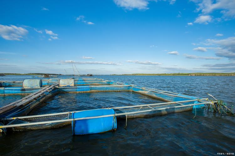 水产养殖的水里含有什么-第3张图片-宁夏农业信息网