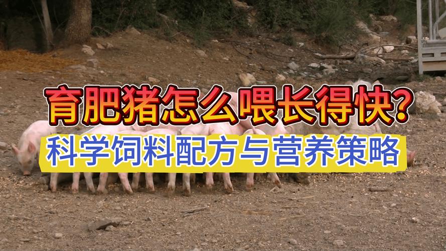 猪吃什么饲料长的快-第2张图片-宁夏农业信息网 猪吃什么饲料长的快-第2张图片-宁夏农业信息网