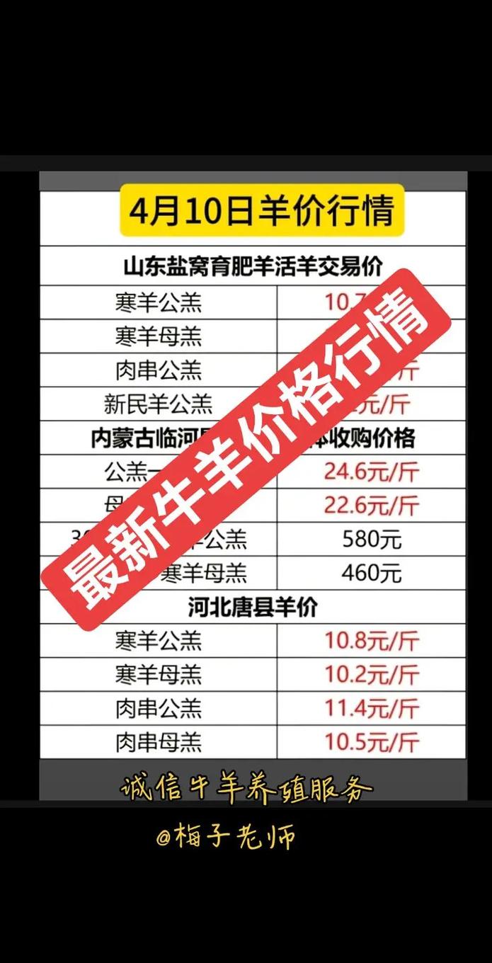 育肥羊的价格多少-第2张图片-宁夏农业信息网