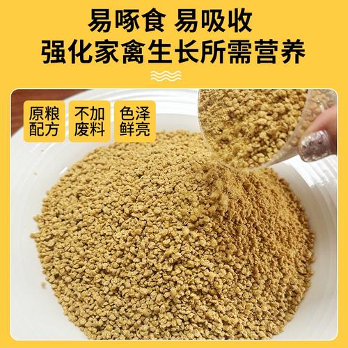 下蛋鸡吃什么饲料好-第3张图片-宁夏农业信息网 下蛋鸡吃什么饲料好-第3张图片-宁夏农业信息网