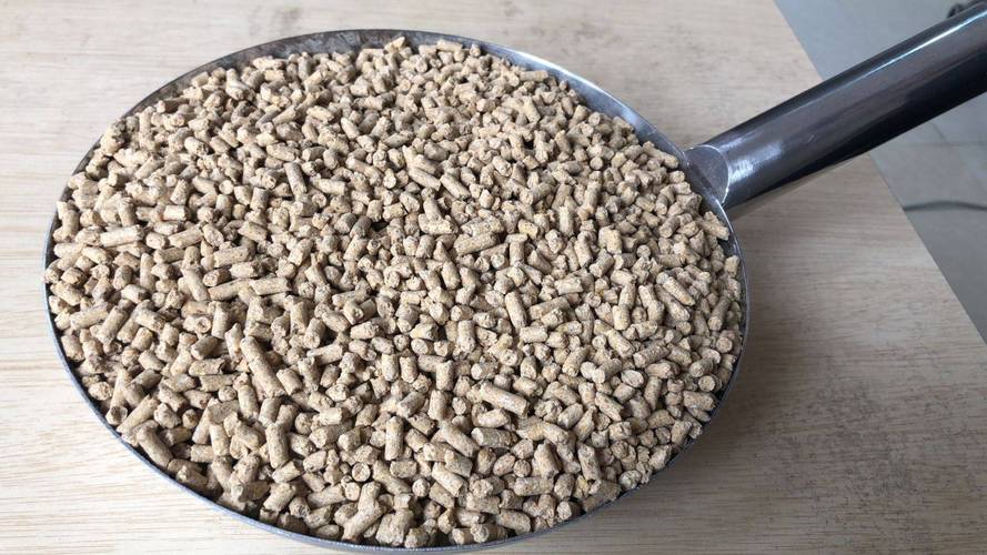 不同阶段的猪应吃什么饲料-第2张图片-宁夏农业信息网 不同阶段的猪应吃什么饲料-第2张图片-宁夏农业信息网