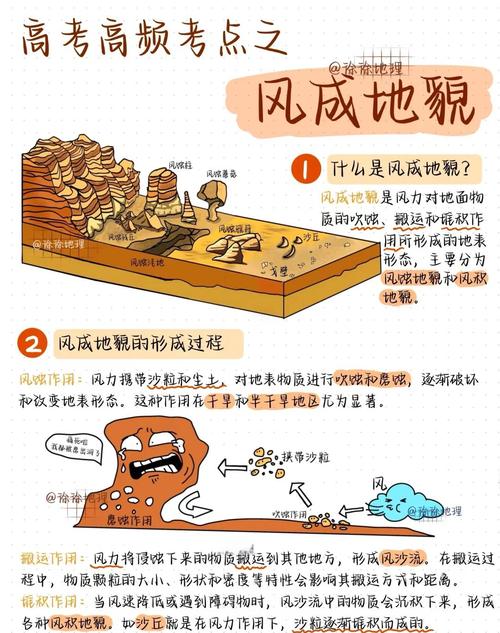 怎么区分风化石和土-第3张图片-宁夏农业信息网