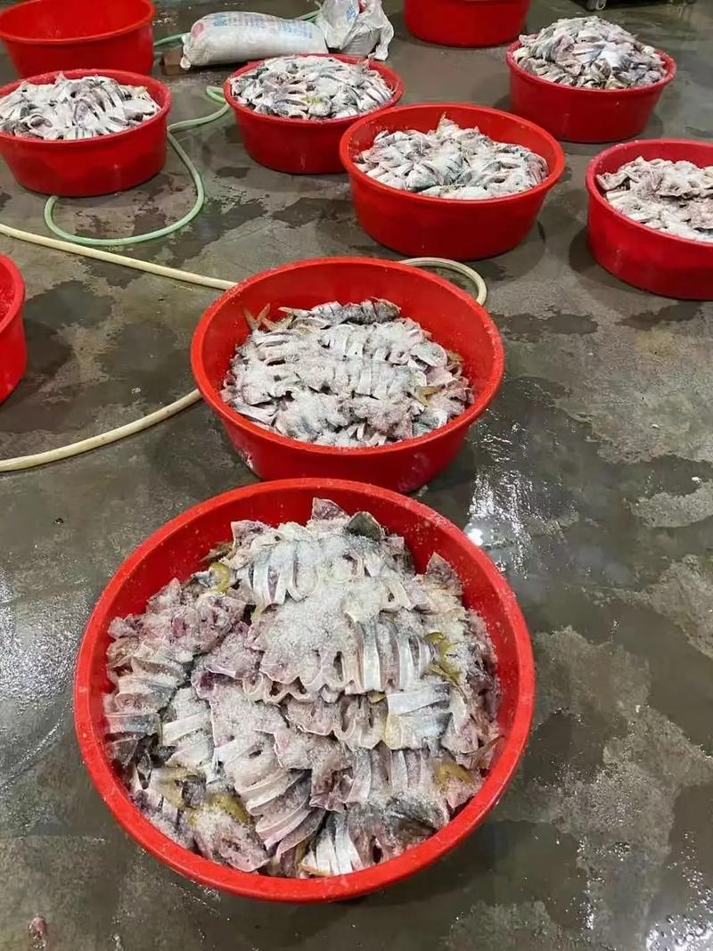 广西北海养殖什么好销售-第1张图片-宁夏农业信息网