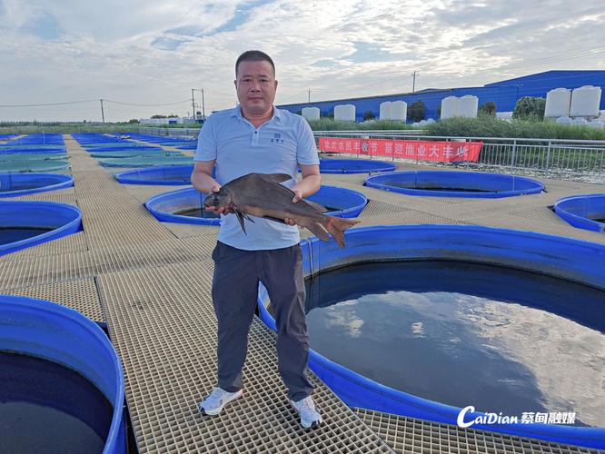 什么鱼养殖最粗放-第3张图片-宁夏农业信息网