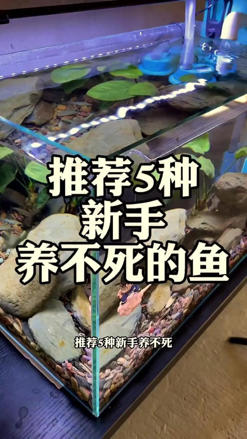 什么鱼养殖最粗放-第2张图片-宁夏农业信息网