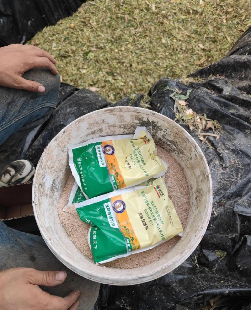 羊为什么不爱吃青储饲料-第2张图片-宁夏农业信息网