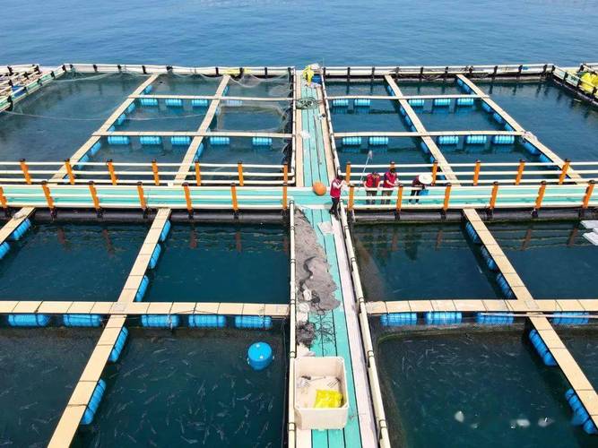 深海网箱养殖采用什么材料-第1张图片-宁夏农业信息网
